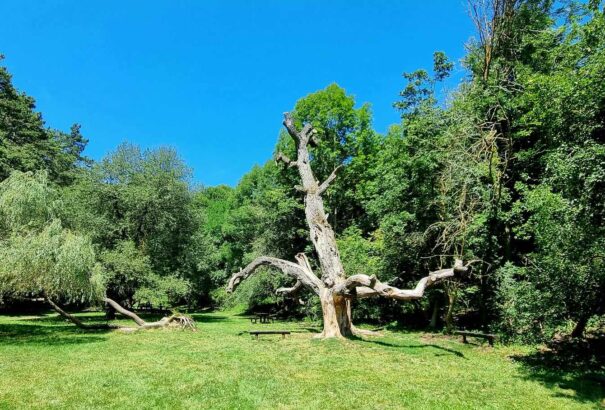 Továbbra is tart a kánikula