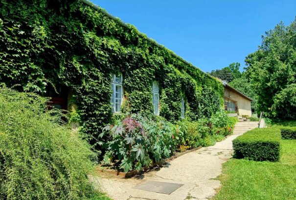 Időjárás-előrejelzés a következő 7 napra: Augusztus utolsó hetében is marad a kánikula