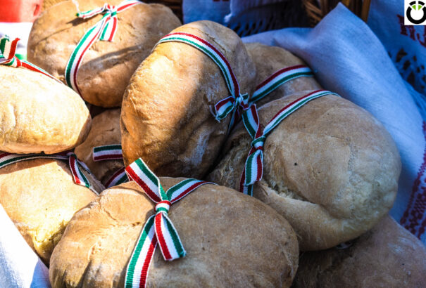 Szent István napját ünnepelték Bősön – Képekkel