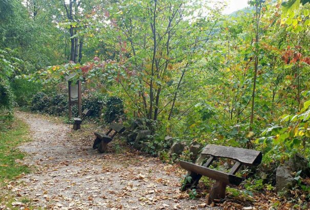 Ma van az őszi napéjegyenlőség napja – kezdődik a csillagászati ősz