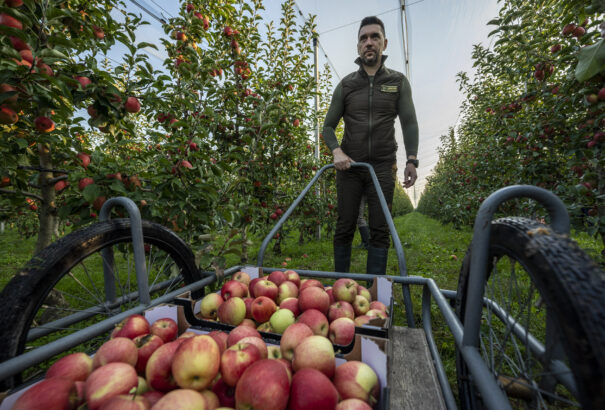 Takáč: Változhat a csökkentett áfával rendelkező alapélelmiszerek listája
