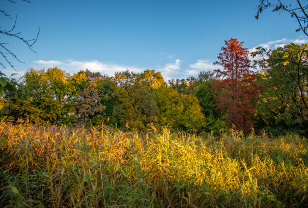 Itt az első előrejelzés: mutatjuk, milyen időre számítsunk októberben