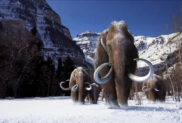 Múzeum Presszó 16 – Jégkorszak Gömörben