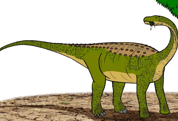 Új dinófajokat fedezhettek fel Erdélyben