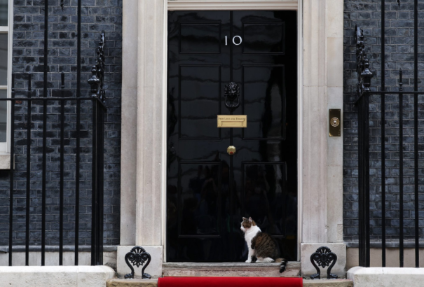 A brit miniszterelnök megmutatta új macskáját
