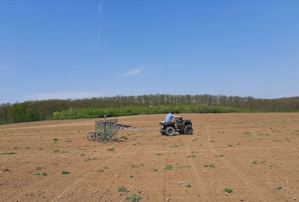 Marcus Aurelius római császár életével összefüggő helyet fedeztek fel Zselíz kataszterében