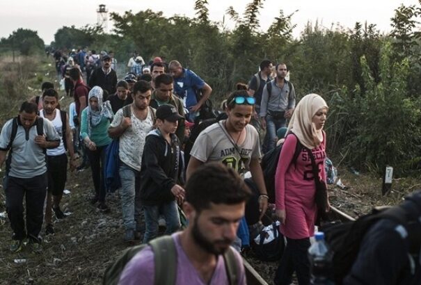 Nem kérnek a röszkei migránsokból a belga politikusok