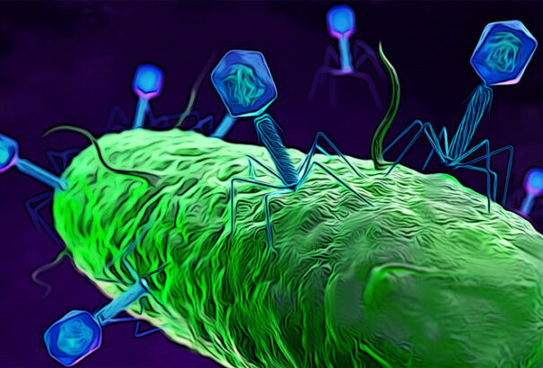 Áttörő felfedezést tett a szuperbaktériumok elleni küzdelemben egy magyarok vezette kutatócsoport