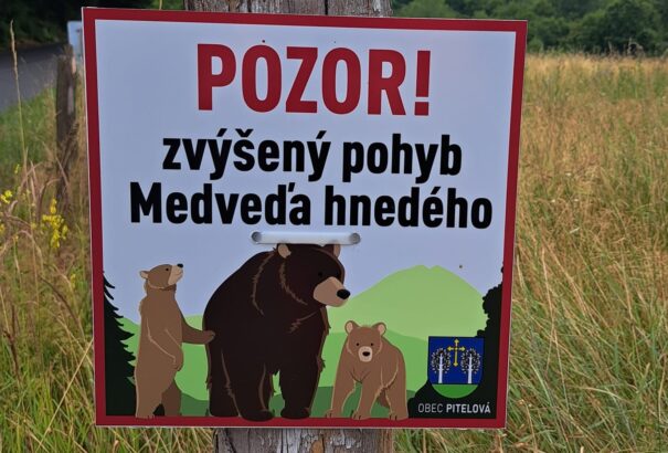 Rendkívüli helyzetet hirdettek Liptóban a medvetámadások miatt