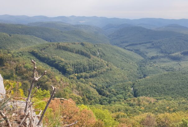 A Kárpátokban találhatták fel a kereket