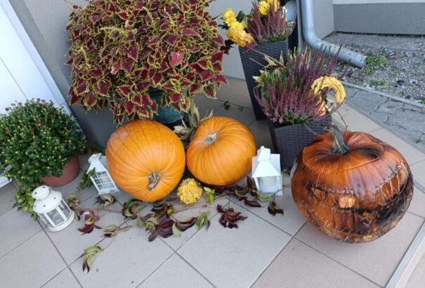 Töklámpások, halászlevek – Őszi hangulat uralkodott Nagymadban (Képekkel)