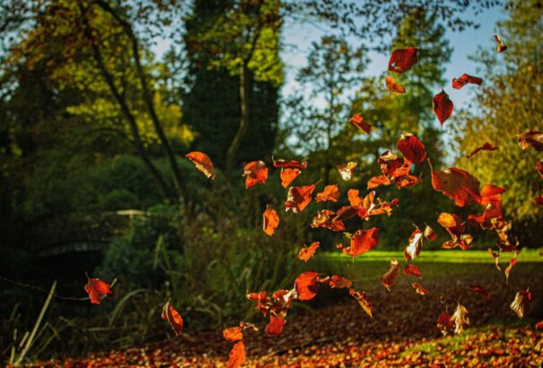 Előrejelzés: Viharos, változékony idő áll előttünk