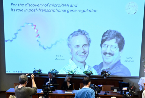 Génszabályozásért járt az orvosi-élettani Nobel-díj