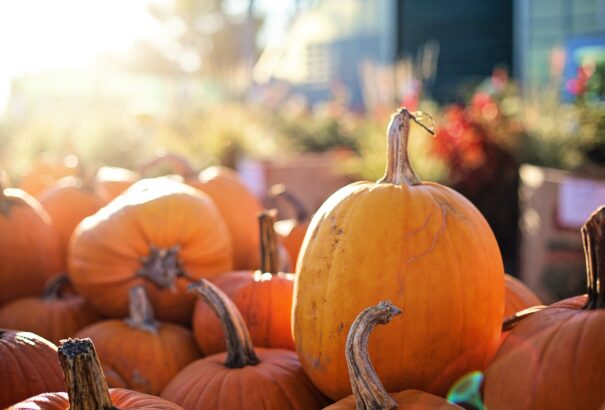 Meteorológia: Egészen rendkívüli volt a mai nap – ne nagyon számítsunk idén már hasonlóra