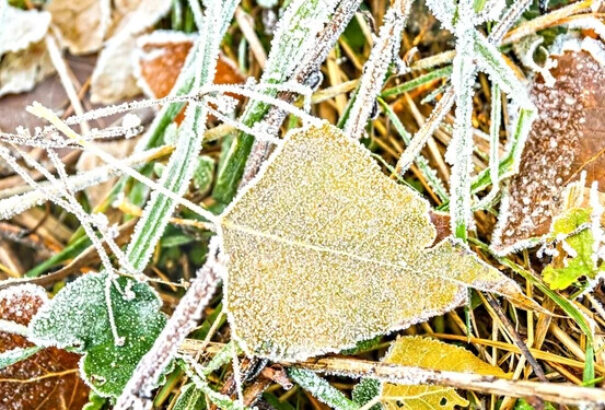 Talaj menti fagyokra figyelmeztetnek a meteorológusok
