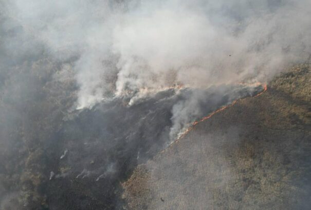 Erdőtűz ütött ki Konyhán, a tűzoltók küzdenek a lángokkal