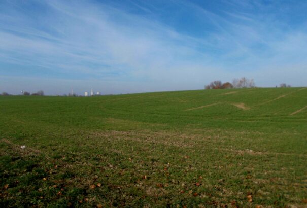Régészeti szenzáció Csicserben: Titkokat rejt a molyvák mélye – Nőket és gyerekeket áldoztak