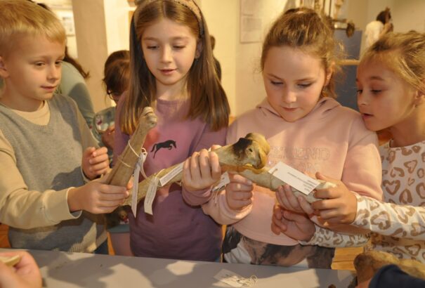 Múzeum Presszó 18 – Jégkorszaki élmények