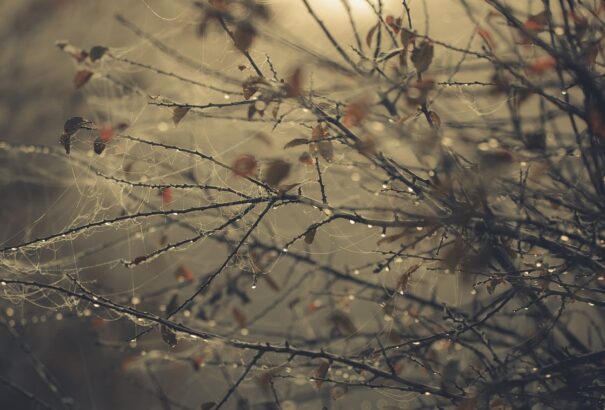 Ködös idővel indul a vasárnap