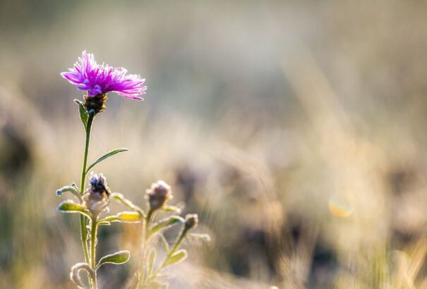 Enyhe, szeles idővel indul a munkahét
