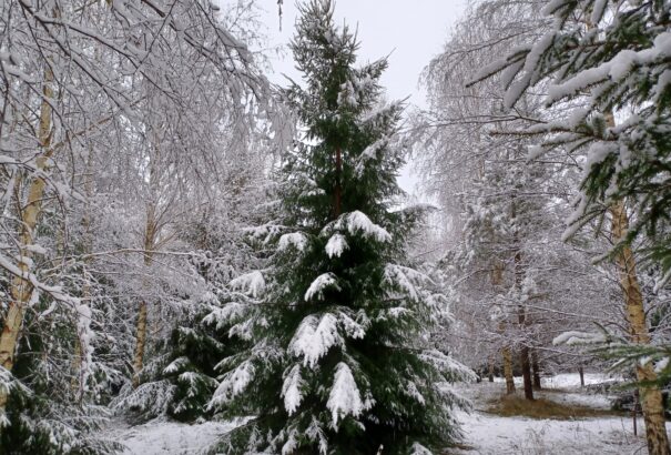 Észtország téli világában – Képriport