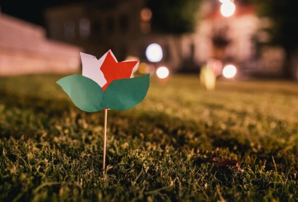 Kelemen Hunor: csak az RMDSZ fejleszti Erdélyt, a magyarok lakta településeket és védi meg a közösséget