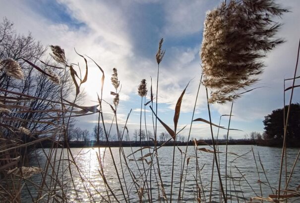 Felhős, ködös, szeles idő lesz csütörtökön