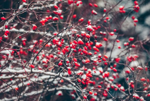 Enyhe, szeles idő várható szerdán