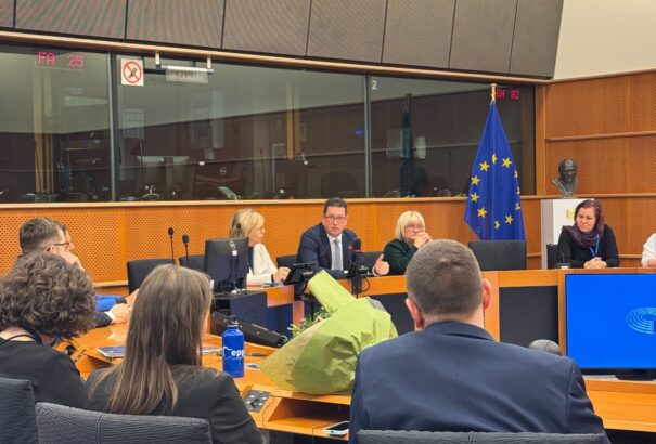 Vincze Loránt az Európai Parlament kisebbségi intergroupjának új elnöke