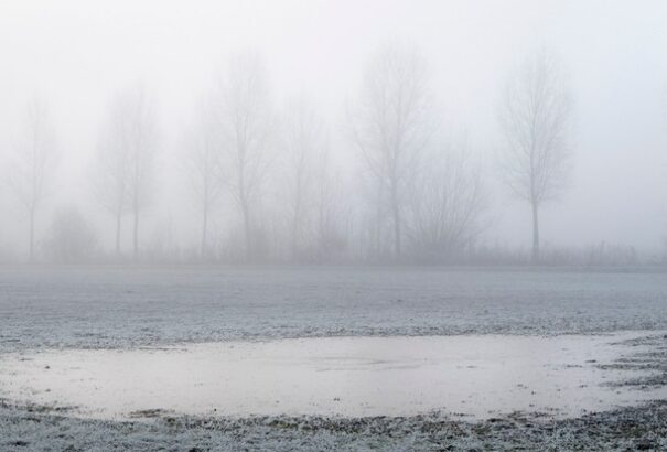 Borult, párás idővel veszi kezdetét a hét