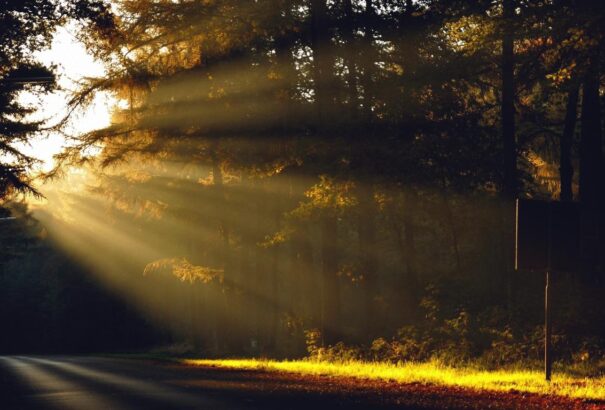 Kerepesi Igor: Metszéspontok 02 – Megsúghatnád