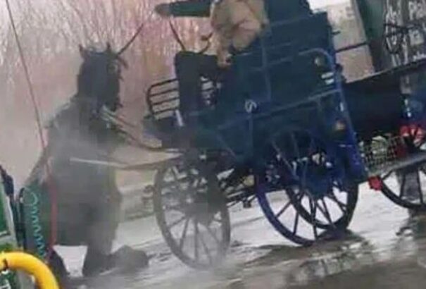 A kegyetlenség mintapéldája: Két férfi az autómosóban mosta meg a lovát