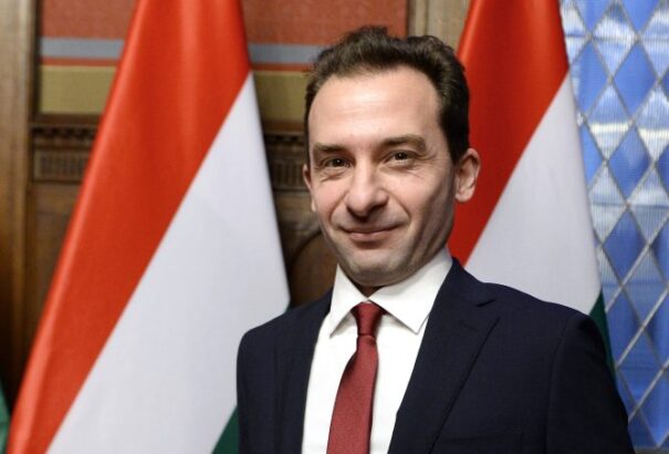 A rák elleni küzdelemben is áttörést hozhat a magyar tudós felfedezése