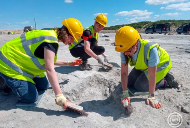 Két új dinoszauruszfajt azonosítottak a Hátszegi-medencében