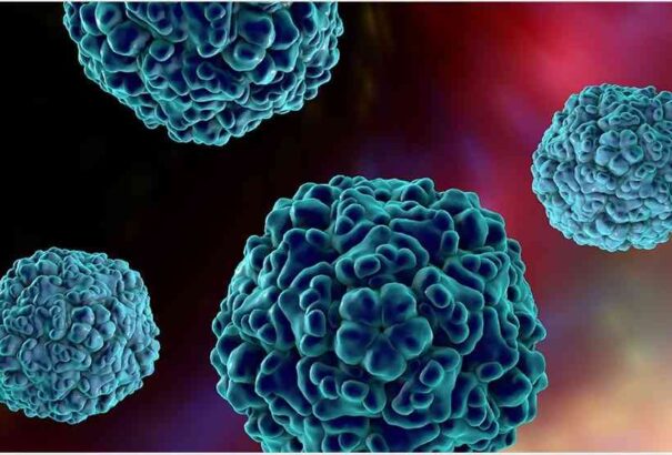 Száj- és körömfájás: A fertőzés forrása továbbra is ismeretlen. A németországi járvány vírusa Törökországból érkezhetett