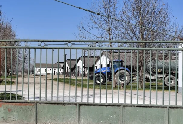 Csütörtöktől elítéltek segítenek a száj- és körömfájás elleni küzdelemben