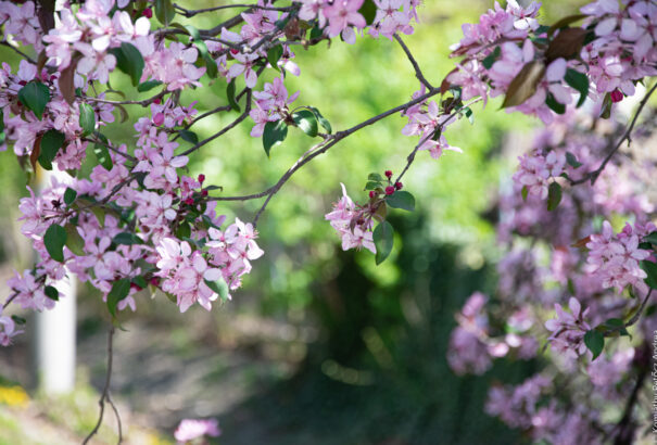 Enyhülés jön, nem is akármilyen