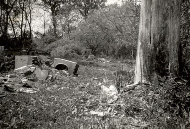 Megesz a kosz – Szelektáljunk, mentsünk pingvineket