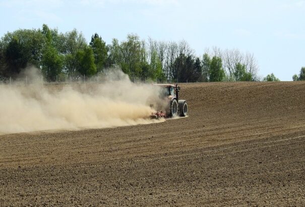 Az egész ország területén tombol az aszály, kongatják a vészharangot a szakértők