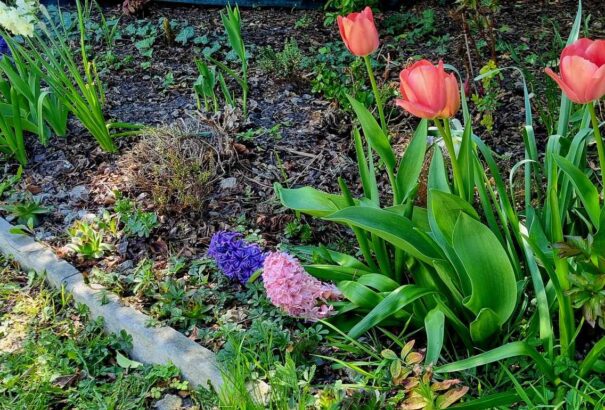 Borult, de meleg idővel indul a hét