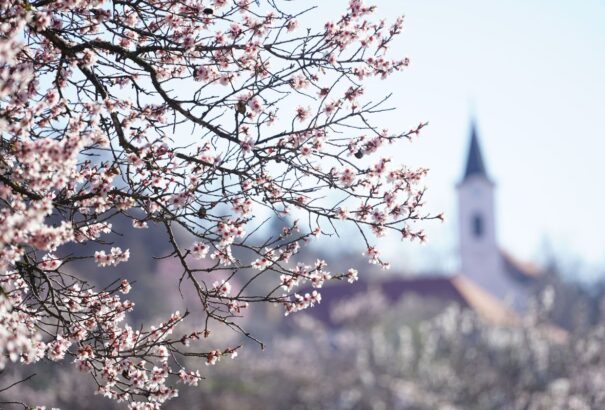 Ragyogó napsütéssel búcsúzik az április