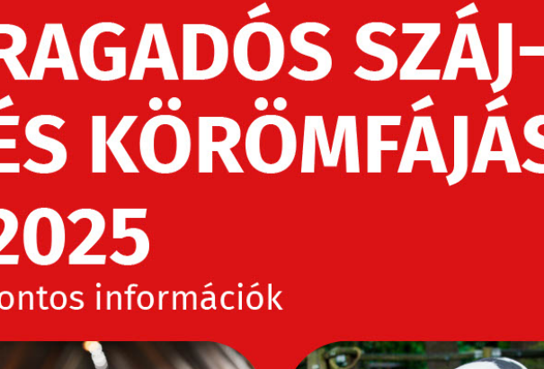 Ragadós száj- és körömfájás: Kicsit késve, de már magyar nyelven is megkezdte a kommunikációt az Állategészségügyi Hivatal