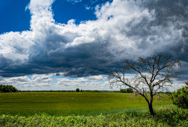 Szombaton borongósan indul a nap, de feltámad az északi szél és kisüt a nap