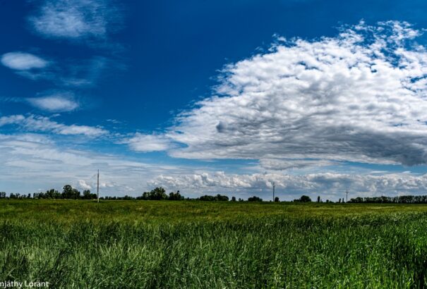 Csapadék, omega-blocking, nagybetűs tavasz – megérkezett az előrejelzés májusra