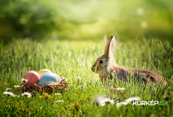 A húsvéti nyúl legendája – egy szokatlan, de kedves ünnepi jelkép