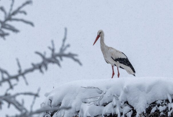 Hideg, szeles időt hozott a hidegfront