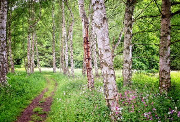 Tavaszias időjárás várható húsvét vasárnapján