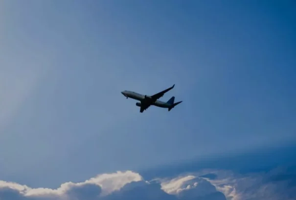 Betilthatják a polgári légi járatokat a száj- és körömfájás terjedésének megakadályozása érdekében