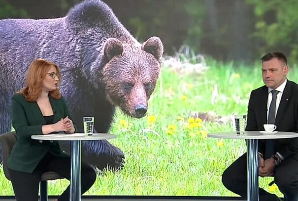 Taraba: Keddig 80 engedélyt adtak ki a medvék kilövésére