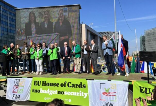 Gazdatüntetés Brüsszelben: Magyar és szlovák gazdák is tüntettek az európai agrártámogatások megvédéséért